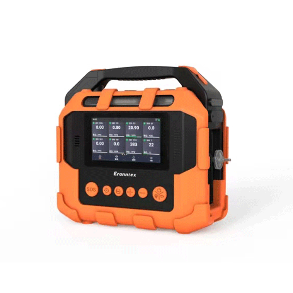 手提式多功能气体草莓视频污成人 PTM600-S-10操作视频